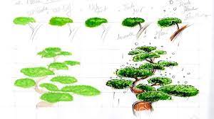 Les proportions seront alors plus facile à dessiner. Apprendre Le Dessin De Jardin Temple Japonais Youtube