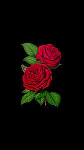 Wallpaper Iphone Flowers Red Roses Wallpaper Flower Wallpaper Rose Wallpaper