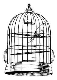 Prettiest umbrella girl coloring page. Coloring Page Bird In A Cage Free Printable Coloring Pages Img 20684