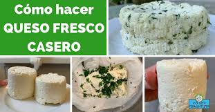 Como hacer uno de los quesos más sencillos de elaborar en casa: Como Hacer Queso Fresco Casero Yo Soy Fermentista