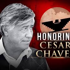 West Michigan Welcome Plan (@westmichiganwelcomeplan) • Instagram photos  and videos