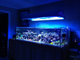Find t5 fluorescent light fixtures. My Bad Luck Today With A Brand New Sfiligoi Metal Halide Fixture Reef2reef Saltwater And Reef Aquarium Forum