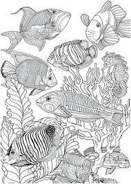 Pin On Patterns