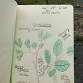 A NATURE JOURNALING EXPLORATION ACTIVITY FOR FALL event image