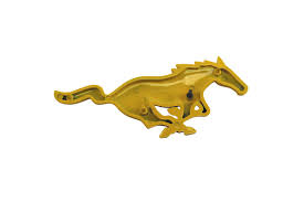 Image result for Yellow 2004 AA