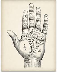 Amazonsmile Vintage Palm Reading Chart 11x14 Unframed Art Print Great Decor And Gift For Fans Of Palmistry And Ast Occult Art Supernatural Gifts Palmistry