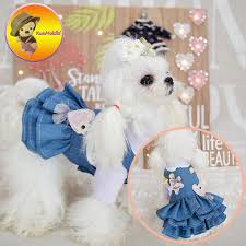 Pin By Selma Kan On Perros Girl Dog Clothes Cat Clothes Dog Clothes