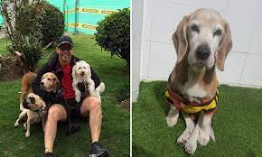 Noticias de hoy en estados unidos y el mundo. La Bella Historia De Juan Diego Alvira Y Bruno El Perro Que Rescato De La Calle La Nota Positiva