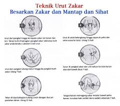 Mmang minyak terbaik untuk para suami. Mlgb Power Cara Urut Guna Minyak Lintah