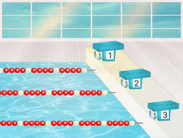 Jul 24, 2021 · from his breakout 2004 athens olympics efficiency via his last video games in the 2016 rio summer seasons gamings, michael phelps was the premier skill in the sporting activity, without one presenting the sort of success he had in the background of swimming. Olympic Pool Stock Illustrations 1 062 Olympic Pool Stock Illustrations Vectors Clipart Dreamstime