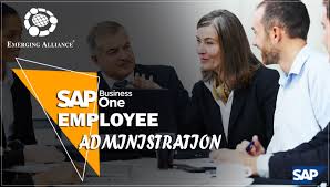 Sap Business One Add On Employee Management Alliance Administration