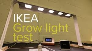 We did not find results for: Ikea Grow Light Test You Ll Be Surprised Youtube
