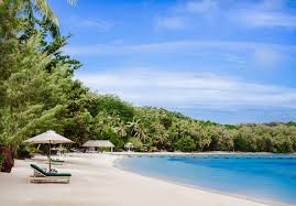 The Blue Lagoon (Novel) - Wikipedia