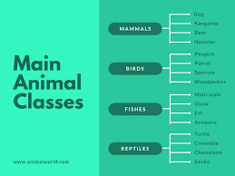 Berikut ini adalah contoh peta konsep dengan topik peta pikiran. Membuat Grafik Peta Konsep Online Canva