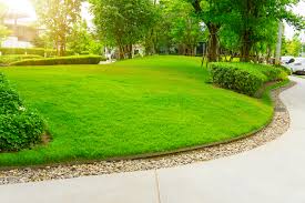 Near you 20+ lawn treatment services near you. Plymouth Mn Lawn Care 1 Lawn Care In Plymouth Mn