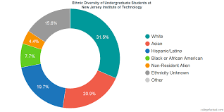 New Jersey Institute Of Technology Diversity Racial