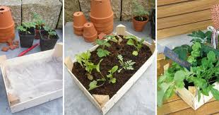 Mini Gemusebeet Zum Verschenken Gartenzauber Gemusebeet Verschenken Gartenparadies