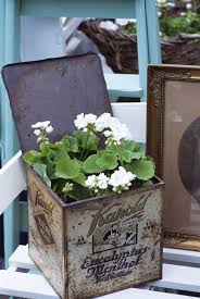 White Geraniums In Vintage Tin Clemmensen Brok Vintage Garden Decor Geraniums Vintage Garden