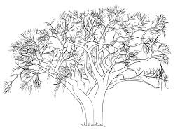 Comment Dessiner Un Arbre Comment Dessiner Un Arbre Dessin Arbre Peinture Arbre