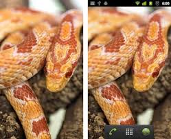 500+ wobbly life rangdoll guide. Orange Snake Live Wallpaper Apk Download For Android Latest Version 10 05 Com Orange Snake Live Wallpaper Rev9331429
