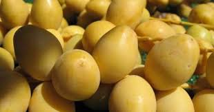 Barhi Dates Fresh Khalal Stage From California 30 Lbs Box Raw Food Recipes Grocery Deals Grocery Sales