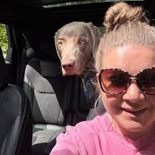 Where to buy dog cakes in Millville area?