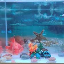 Mailbox covers are easy to install on metallic mailboxes using magnetic. Save 60 Discount Hamiledyi Aquarium Resin Coral Decoration Fish Tank Rock Mountain Cave Artificial Plastic Plant Ornament Aquatic Plants Accessories Betta Sleep Rest Hide Play Breed 3 Pack Pet