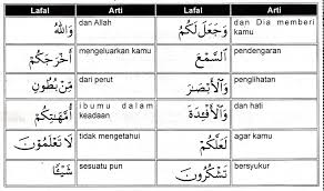 Quran sindhi, quran sindhi translation mp3. Q S An Nahl Ayat 78 Tentang Manusia Dan Tugasnya Sebagai Khalifah Di Bumi Judul Situs