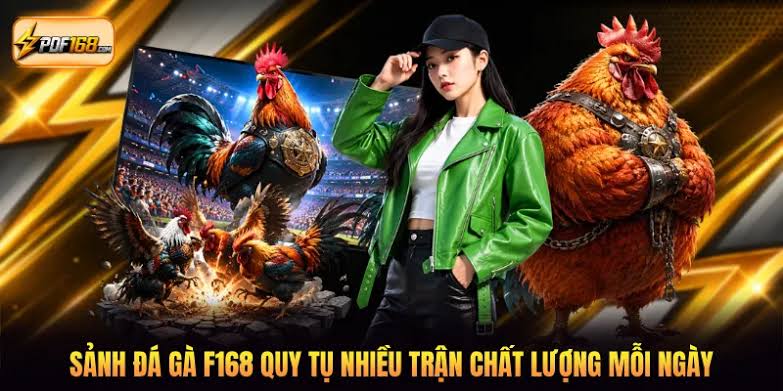 Đá Gà F168 - Sức Hút Từ Những Cuộc Đối Đầu Đỉnh Cao