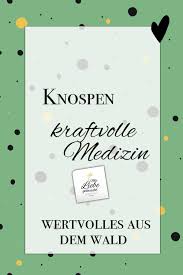Waldapotheke Das Propolis Der Baume Pappelknospensalbe Mit Liebe Gemacht Salbe Hausapotheke Propolis