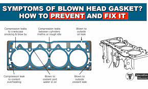 Check for coolant in the combustion chamber. Symptoms Of A Blown Head Gasket How To Prevent And Fix It