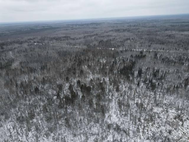 84.7 Acres of Recreational & Residential Land for Sale in Big Falls,  Minnesota - LandSearch