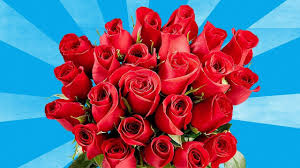 Getting a lot more responses on this than i anticipated! Last Minute Valentine S Day Gift Deal Get Two Dozen Roses For 19 99 Jioforme