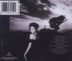 It was released on 11 february 1993 by parlophone. Duran Duran Duran Notorious Amazon Com Music