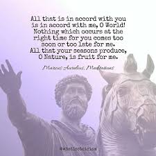 Marcus Aurelius Own Version Of Amor Fati Stoicism Marcusaurelius Amorfati Meditations
