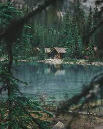 Geardoctors Jacksondematos I Am Lost In The Beauty Of This Place Every Time I Return There Is Something So Scenery House In The Woods Cabins In The Woods