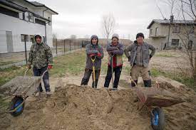 Trzy Nowosci Jesienia W Polsat Play Tvpolsat Info