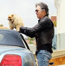Image result for mickey rourke dog