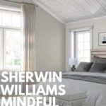 I'm split between agreeable gray and colonial gray, will rugged suede for the. Sherwin Williams Mindful Gray Sw 7016 West Magnolia Charm