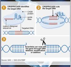 Mrna, trascritto, rna messaggeri (it); à¸£ à¸§ à¸§à¸à¸­à¸‡à¸— à¸™ Tgenome à¹à¸¥à¸° Arkg à¹€à¸¡ à¸­à¸ª à¸‚à¸ à¸²à¸žà¹à¸¥à¸°à¹€à¸—à¸„à¹‚à¸™à¹‚à¸¥à¸¢ à¸– à¸‡à¸„à¸£à¸²à¸§à¸¡à¸²à¸šà¸£à¸£à¸ˆà¸šà¸ à¸™ Finnomena