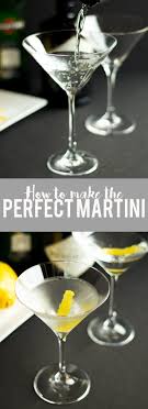 The Perfect Martini Recipe Perfect Martini Best Martini Recipes Dry Martini Recipe