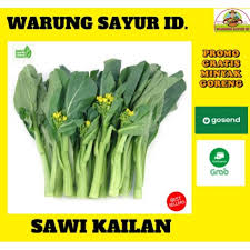 Jika anda bermukim di kampung dan bertanya jualan apa yang laku di kampung, maka jawabannya bisnis dropship adalah usaha online dimana kita hanya menawarkan produk berupa gambar atau brosur di. Jual Warung Sayur Sawi Kailan 250 Gram Jakarta Barat Kencana Tirta Tokopedia