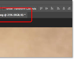 صورة Photoshop document window