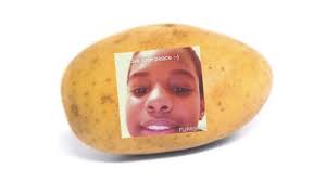 Choose one of the browsed a potato flew around my room lyrics, get the lyrics and watch the video. A Potato Flew Around My Room Know Your Meme