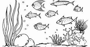 Gambar Mewarnai Lautan Mewarnai Gambar Kapal Laut Ayo Kita Bergembira Sambil Mewarnai Gambar Binatang Laut Gambar Mewarnai Ilustrasi Gambar Hewan Gambar