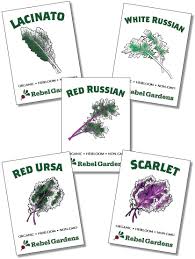 You'll have to file an individual change of address for each member of your household that has a unique last name. Amazon Com Heirloom Kale Seeds 5 Varieties Of Organic Non Gmo Vegetable Seed For Planting Garden Outdoor