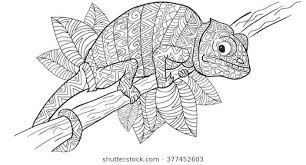 New Link How To Draw Hands Anti Stress Coloring Book Drawings
