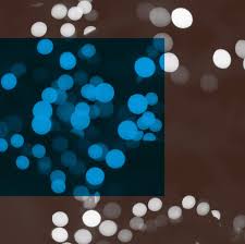 Maybe you would like to learn more about one of these? Decret N 2020 511 Du 2 Mai 2020 Modifiant Le Code De La Securite Interieure Et Portant Diverses Dispositions Relatives Aux Agents De Police Municipale Itineraires Avocats