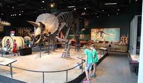 Browse 2,734 dinosaur bones stock photos and images available, or search for dinosaur bones museum or dinosaur bones vector to find more great stock photos and pictures. H B Fuller Adhesive Fixes Dinosaur Bones H B Fuller