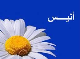 معنى اسم أنيس فهرس
